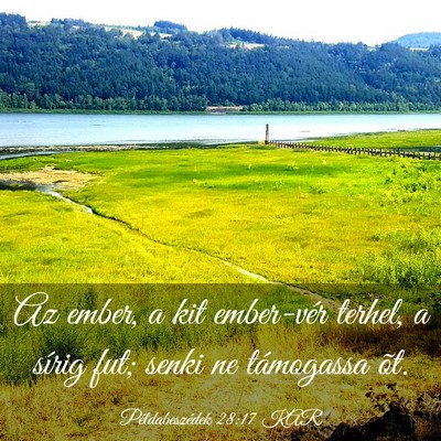 Picture 03 - Példabeszédek 28:17 KAR - Az ember, a kit ember-vér terhel, a sírig fut; - Bible Verse Picture