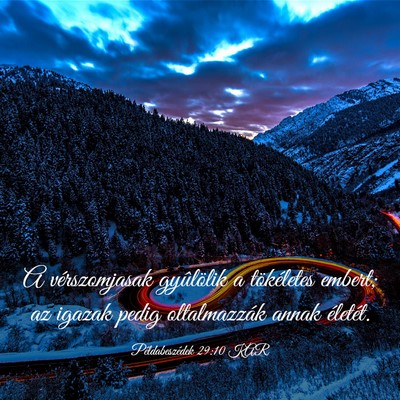 Picture 03 - Példabeszédek 29:10 KAR - A vérszomjasak gyûlölik a tökéletes embert; - Bible Verse Picture