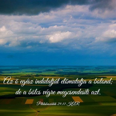 Picture 03 - Példabeszédek 29:11 KAR - Az õ egész indulatját elõmutatja a bolond; de - Bible Verse Picture