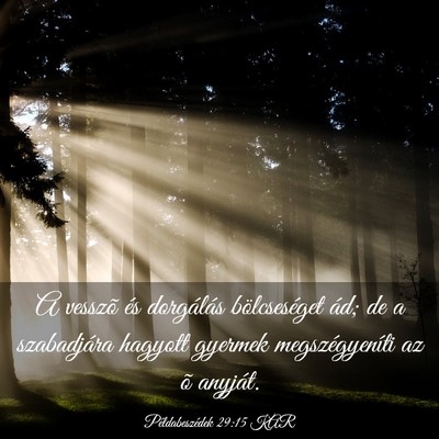 Picture 03 - Példabeszédek 29:15 KAR - A vesszõ és dorgálás bölcseséget ád; de a - Bible Verse Picture