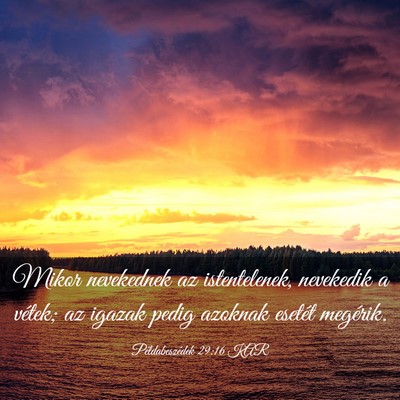 Picture 03 - Példabeszédek 29:16 KAR - Mikor nevekednek az istentelenek, nevekedik a - Bible Verse Picture