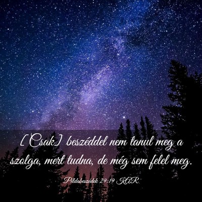 Picture 03 - Példabeszédek 29:19 KAR - [Csak] beszéddel nem tanul meg a szolga, mert - Bible Verse Picture