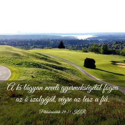 Picture 03 - Példabeszédek 29:21 KAR - A ki lágyan neveli gyermekségétõl fogva az õ - Bible Verse Picture