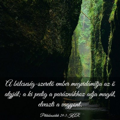 Picture 03 - Példabeszédek 29:3 KAR - A bölcseség-szeretõ ember megvidámítja az õ - Bible Verse Picture