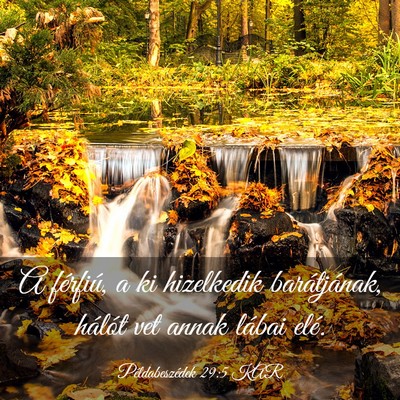 Picture 03 - Példabeszédek 29:5 KAR - A férfiú, a ki hizelkedik barátjának, hálót - Bible Verse Picture