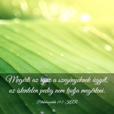 Picture 03 - Példabeszédek 29:7 KAR - Megérti az igaz a szegényeknek ügyét; az - Bible Verse Picture