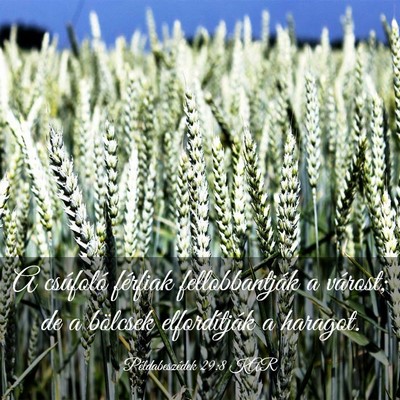 Picture 03 - Példabeszédek 29:8 KAR - A csúfoló férfiak fellobbantják a várost; de - Bible Verse Picture
