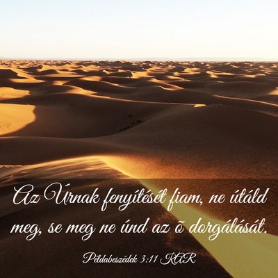 Picture 03 - Példabeszédek 3:11 KAR - Az Úrnak fenyítését fiam, ne útáld meg, se - Bible Verse Picture