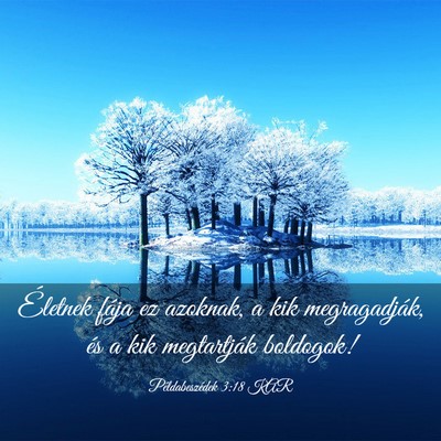 Picture 03 - Példabeszédek 3:18 KAR - Életnek fája ez azoknak, a kik megragadják, - Bible Verse Picture