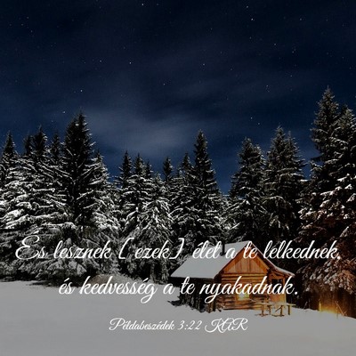 Picture 03 - Példabeszédek 3:22 KAR - És lesznek [ezek] élet a te lelkednek, és - Bible Verse Picture