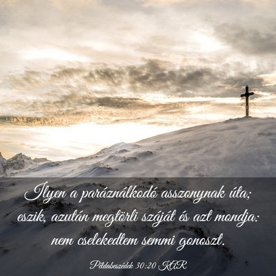 Picture 03 - Példabeszédek 30:20 KAR - Ilyen a paráználkodó asszonynak úta; eszik, - Bible Verse Picture