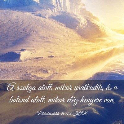 Picture 03 - Példabeszédek 30:22 KAR - A szolga alatt, mikor uralkodik, és a bolond - Bible Verse Picture