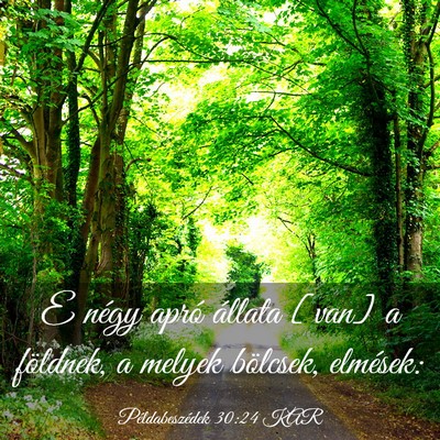 Picture 03 - Példabeszédek 30:24 KAR - E négy apró állata [van] a földnek, a melyek - Bible Verse Picture