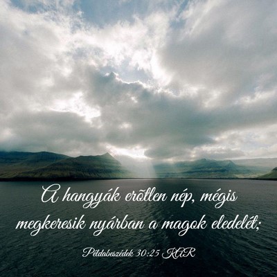 Picture 03 - Példabeszédek 30:25 KAR - A hangyák erõtlen nép, mégis megkeresik - Bible Verse Picture
