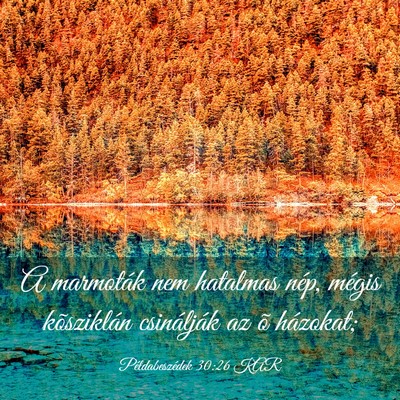 Picture 03 - Példabeszédek 30:26 KAR - A marmoták nem hatalmas nép, mégis kõsziklán - Bible Verse Picture