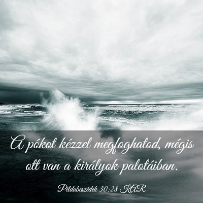 Picture 03 - Példabeszédek 30:28 KAR - A pókot kézzel megfoghatod, mégis ott van a - Bible Verse Picture