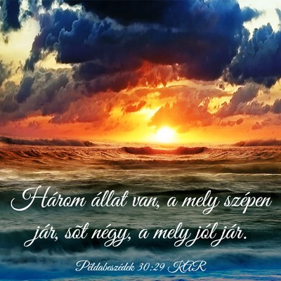 Picture 03 - Példabeszédek 30:29 KAR - Három állat van, a mely szépen jár, sõt - Bible Verse Picture