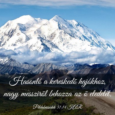 Picture 03 - Példabeszédek 31:14 KAR - Hasonló a kereskedõ hajókhoz, nagy messzirõl - Bible Verse Picture