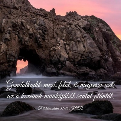 Picture 03 - Példabeszédek 31:16 KAR - Gondolkodik mezõ felõl, és megveszi azt; az õ - Bible Verse Picture
