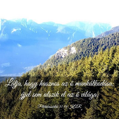 Picture 03 - Példabeszédek 31:18 KAR - Látja, hogy hasznos az õ munkálkodása; éjjel - Bible Verse Picture