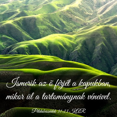 Picture 03 - Példabeszédek 31:23 KAR - Ismerik az õ férjét a kapukban, mikor ül a - Bible Verse Picture