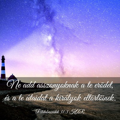 Picture 03 - Példabeszédek 31:3 KAR - Ne add asszonyoknak a te erõdet, és a te - Bible Verse Picture