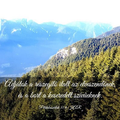 Picture 03 - Példabeszédek 31:6 KAR - Adjátok a részegítõ italt az elveszendõnek, - Bible Verse Picture