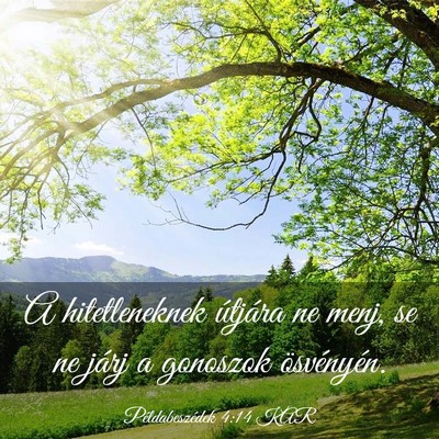 Picture 03 - Példabeszédek 4:14 KAR - A hitetleneknek útjára ne menj, se ne járj a - Bible Verse Picture