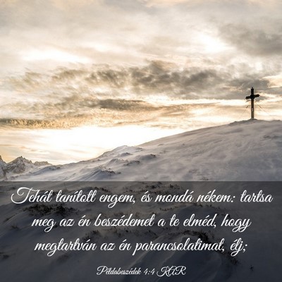 Picture 03 - Példabeszédek 4:4 KAR - Tehát tanított engem, és mondá nékem: tartsa - Bible Verse Picture