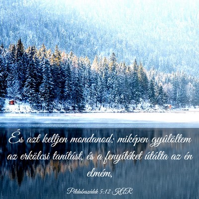 Picture 03 - Példabeszédek 5:12 KAR - És azt kelljen mondanod: miképen gyûlöltem az - Bible Verse Picture