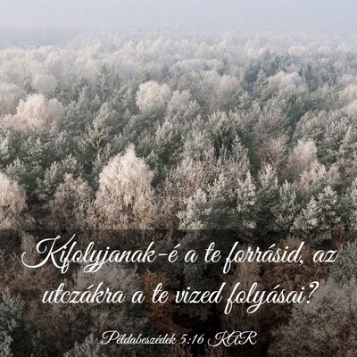 Picture 03 - Példabeszédek 5:16 KAR - Kifolyjanak-é a te forrásid, az utczákra a te - Bible Verse Picture