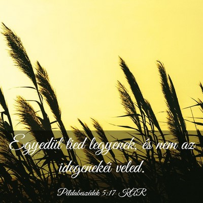Picture 03 - Példabeszédek 5:17 KAR - Egyedül tied legyenek, és nem az idegenekéi - Bible Verse Picture
