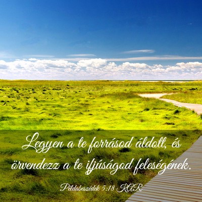 Picture 03 - Példabeszédek 5:18 KAR - Legyen a te forrásod áldott, és örvendezz a - Bible Verse Picture