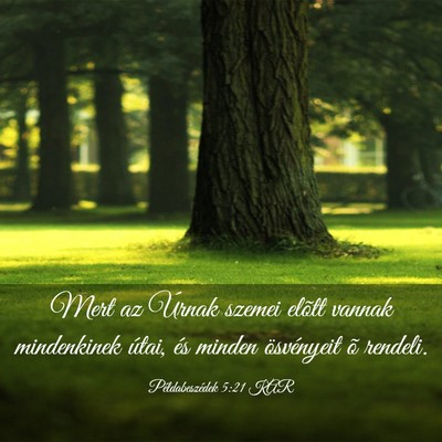 Picture 03 - Példabeszédek 5:21 KAR - Mert az Úrnak szemei elõtt vannak mindenkinek - Bible Verse Picture