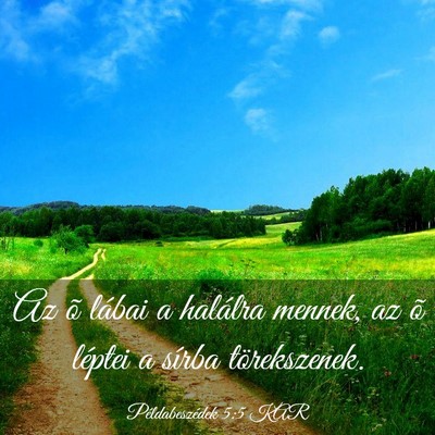 Picture 03 - Példabeszédek 5:5 KAR - Az õ lábai a halálra mennek, az õ léptei a - Bible Verse Picture