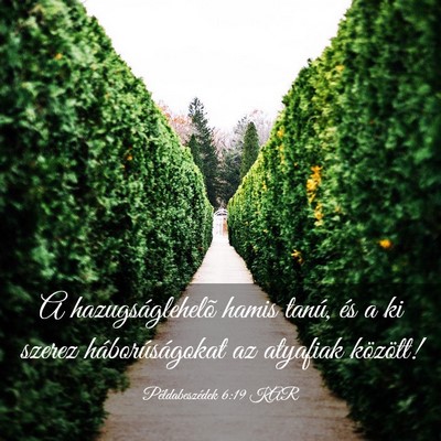 Picture 03 - Példabeszédek 6:19 KAR - A hazugságlehelõ hamis tanú, és a ki szerez - Bible Verse Picture