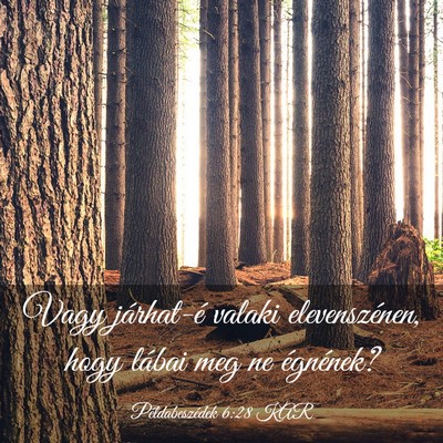 Picture 03 - Példabeszédek 6:28 KAR - Vagy járhat-é valaki elevenszénen, hogy lábai - Bible Verse Picture