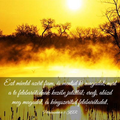 Picture 03 - Példabeszédek 6:3 KAR - Ezt míveld azért fiam, és mentsd ki magadat, - Bible Verse Picture
