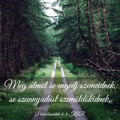 Picture 03 - Példabeszédek 6:4 KAR - Még álmot se engedj szemeidnek, se szunnyadást - Bible Verse Picture