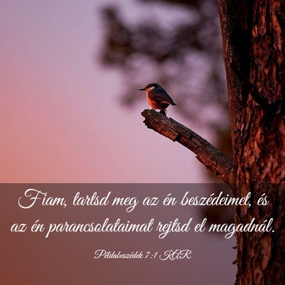 Picture 03 - Példabeszédek 7:1 KAR - Fiam, tartsd meg az én beszédeimet, és az én - Bible Verse Picture