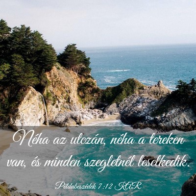 Picture 03 - Példabeszédek 7:12 KAR - Néha az utczán, néha a tereken van, és minden - Bible Verse Picture