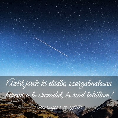 Picture 03 - Példabeszédek 7:15 KAR - Azért jövék ki elõdbe, szorgalmatosan keresni - Bible Verse Picture