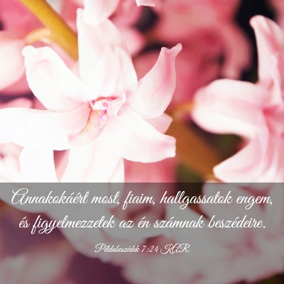Picture 03 - Példabeszédek 7:24 KAR - Annakokáért most, fiaim, hallgassatok engem, - Bible Verse Picture