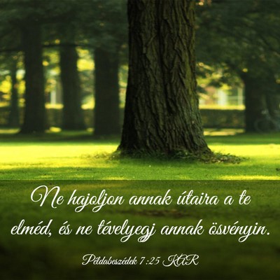 Picture 03 - Példabeszédek 7:25 KAR - Ne hajoljon annak útaira a te elméd, és ne - Bible Verse Picture