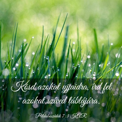 Picture 03 - Példabeszédek 7:3 KAR - Kösd azokat ujjaidra, írd fel azokat szíved - Bible Verse Picture
