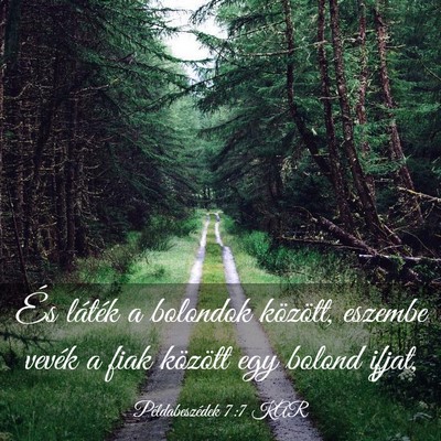 Picture 03 - Példabeszédek 7:7 KAR - És láték a bolondok között, eszembe vevék a - Bible Verse Picture