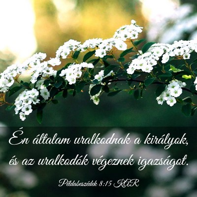 Picture 03 - Példabeszédek 8:15 KAR - Én általam uralkodnak a királyok, és az - Bible Verse Picture