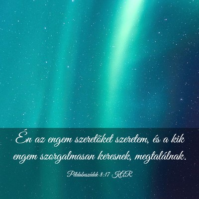 Picture 03 - Példabeszédek 8:17 KAR - Én az engem szeretõket szeretem, és a kik - Bible Verse Picture
