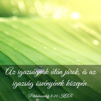 Picture 03 - Példabeszédek 8:20 KAR - Az igazságnak útán járok, és az igazság - Bible Verse Picture