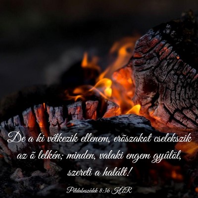 Picture 03 - Példabeszédek 8:36 KAR - De a ki vétkezik ellenem, erõszakot cselekszik - Bible Verse Picture